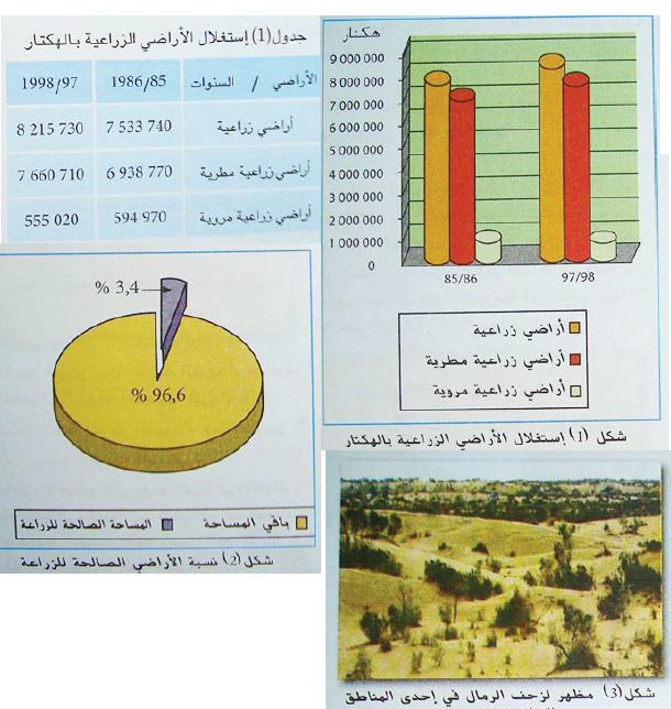 الملخص الامكانيات الزراعية