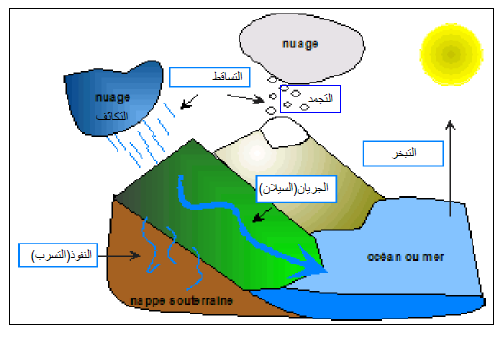 الملخص دورة الماء في الطبيعة