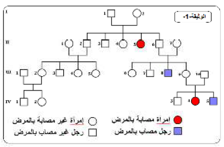 الملخص الطفرات أصل لظهور أليلات جديدة