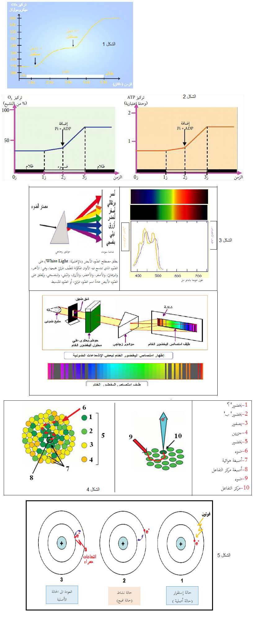 الملخص تأثير الضوء على اليخضور