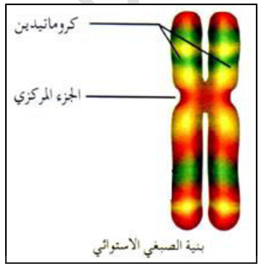 الملخص تمهيد