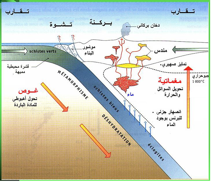 الملخص السؤال التحصيلي