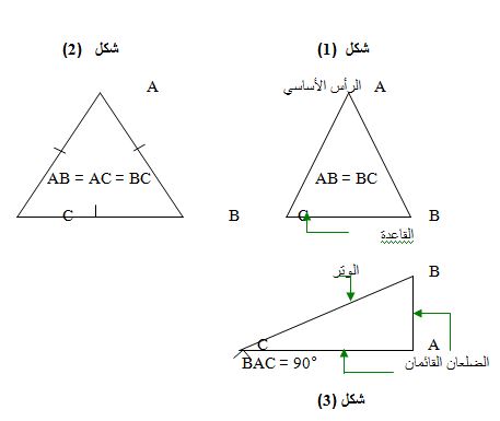 الملخص المضلعات الخاصة