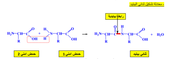 الملخص التعريف