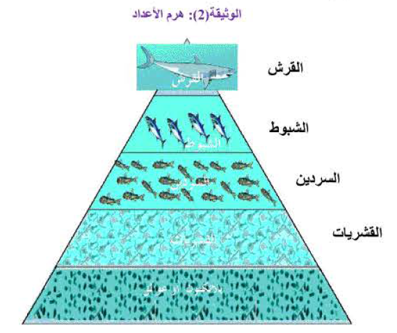 ملخص تفسير ثبات عدد الكائنات الحية