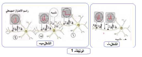 الملخص اظهار اتجاه الرسالة الصبية