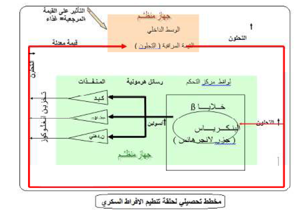 الملخص نمذجة تنظيم الافراط السكري