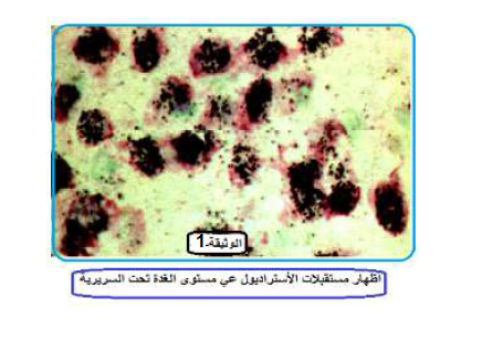 الملخص التصوير الاشعاعي الذاتي للمنطقة تحت السريرية