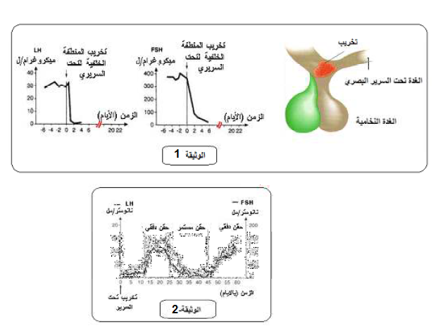 الملخص الطبيعة الدفقية للإفرازات تحت السريرية -النخامية