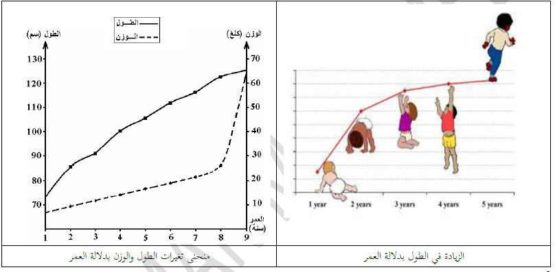 الملخص مظاهر النمو عند الإنسان