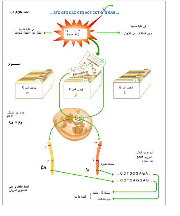 الملخص خطط حصيلة