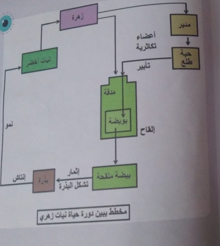 الدرس الخلاصة