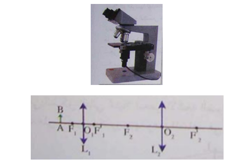 الملخص المجهر (Le Microscope)