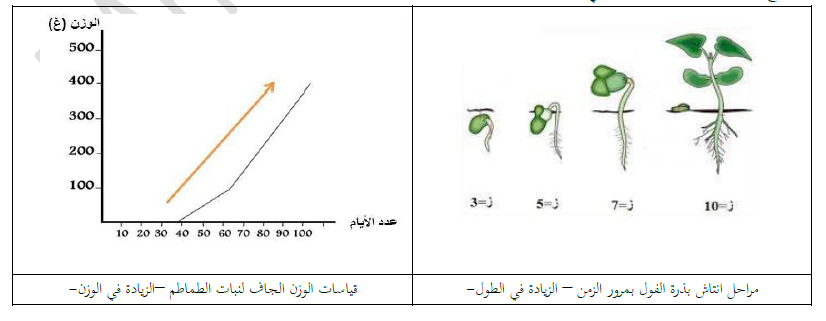 الملخص مظاهر النمو عند النبات