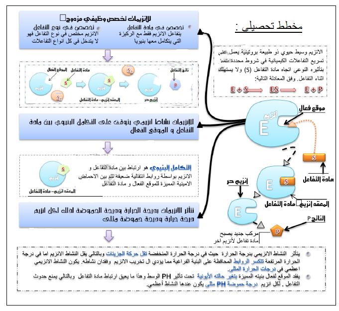 الملخص مخطط تحصيلي