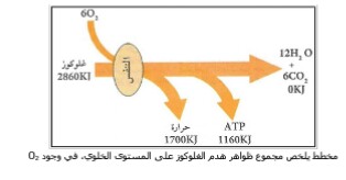 الملخص اليات تحويل الطاقة الكميائية الكامنة في الوسط الهوائي