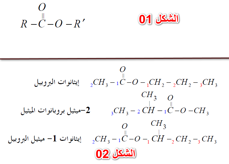 الملخص تحولات الأسترة وإماهة الأستر