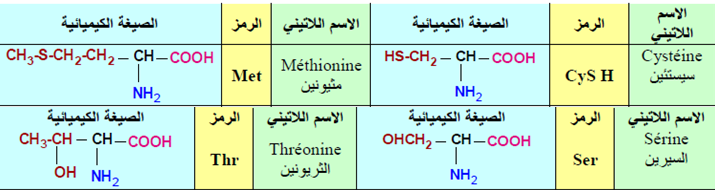 الملخص تابع الاحماض الامينية الخطية