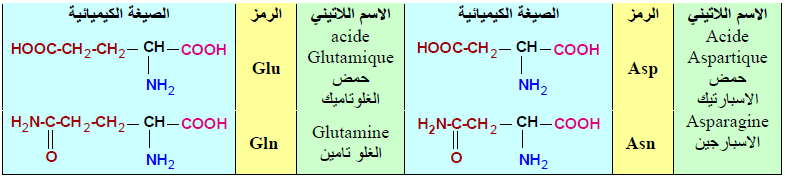 الملخص تابع الاحماض الامينية الخطية