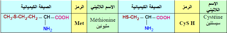 الملخص تابع الاحماض الامينية الخطية