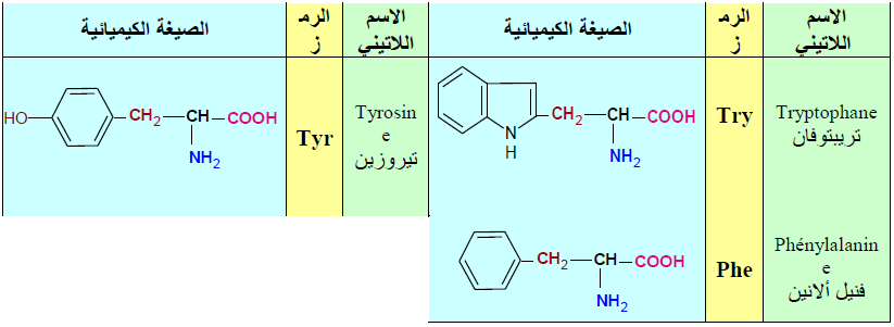 الملخص الأحماض الأمينية الحلقية