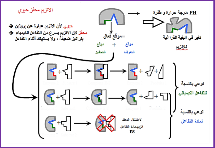 الملخص مخطط تحصيل2   الوحدة 3