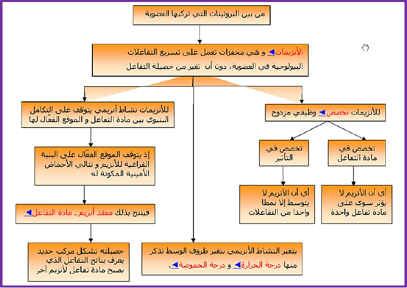 الملخص خريطة المفاهيم للوحدة 3