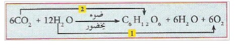 الملخص تابع مقر لعملية التركيب الضوئي