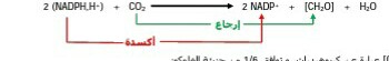 الملخص تابع للنشاط 4 تفاعلات المرحلة الكيموحيوية