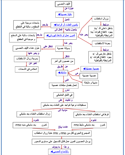 الملخص حصيلة