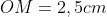 OM = 2,5cm