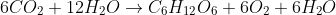 6CO_{2}+ 12H_{2}O\rightarrow C_{6}H_{12}O_{6}+6O_{2}+6H_{2}O