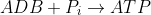 ADB + P_{i} \rightarrow ATP
