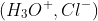 (H_3O^+,Cl^-)