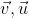 \vec{v},\vec{u}