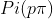 Pi (p\pi)