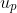 u_p