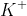K^{+}