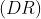 \left (DR \right )