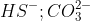 HS^-;CO_3^{2-}