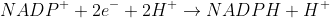 NADP^{+}+2e^{-}+2H^{+}\rightarrow NADPH+H^{+}