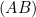 \small (AB)