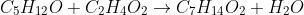 C_5H_{12}O+C_2H_4O_2\rightarrow C_7H_{14}O_2+H_2O